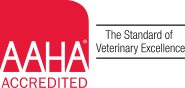 AAHA-Accredited Animal Hospital in Canton