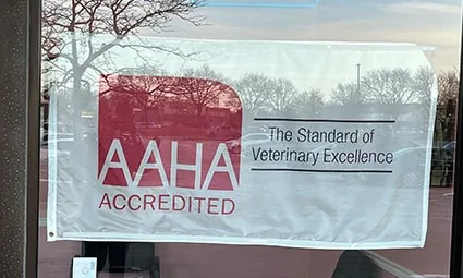 AAHA Accredited flag in window